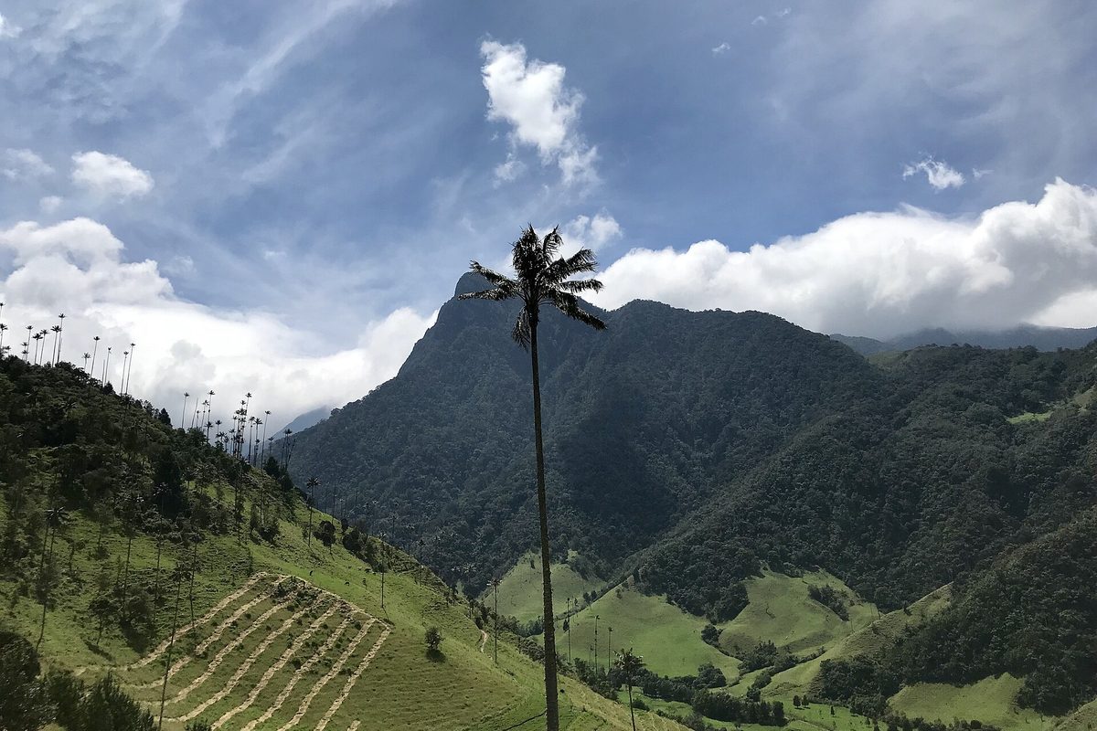 Eje Cafetero